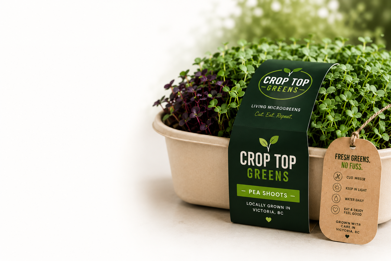 Crop Top Greens living microgreens tray with pea shoots, locally grown in Victoria, BC